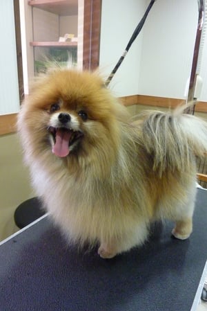 チェルちゃん❤