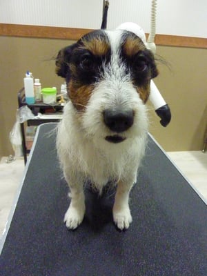 ジャックちゃん❤