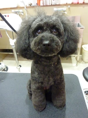 ミントちゃん♪