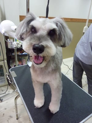 サクラちゃん❤とっても元気な女の子☆