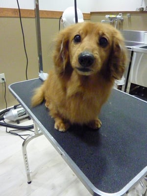 リョウちゃん❤