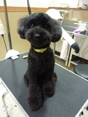 ＣＯＣＯちゃん❤