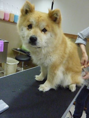 ハッピーちゃん❤