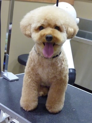 恋ちゃん❤今日も元気いっぱい!頭つながってきたね☆