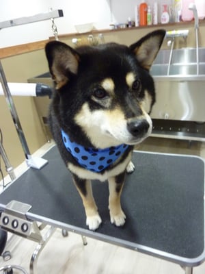 しおんちゃん♡