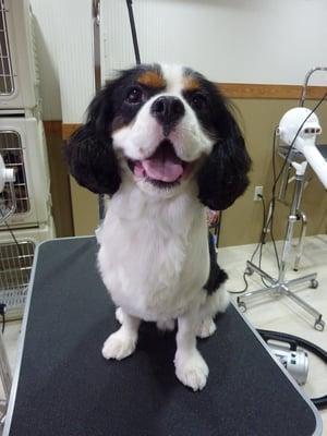 サスケちゃん❤