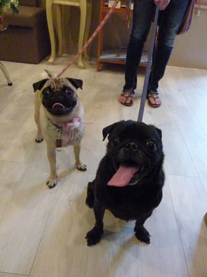 小鉄ちゃん、まる子ちゃん、いつもありがと～❤