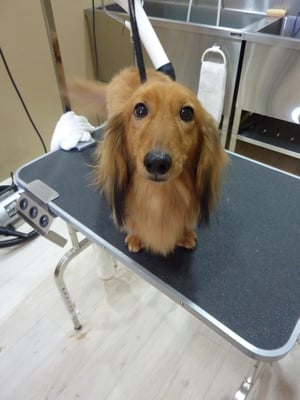 ロックちゃん❤