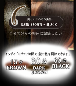 Herbal Henna | Blend#25 & Indigo