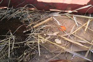 and filling it with cardboard and compostables.