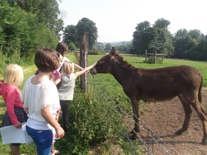 Great moment with animals