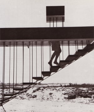 André Kertesz, La Disparition, NY 1955