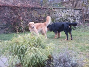 erst mal in Ruhe schnuppern...