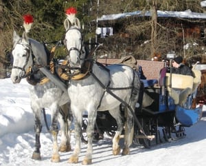 Halt auf dem Wildboden