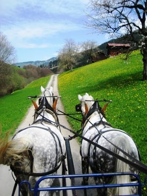 Frühling Richtung Saas