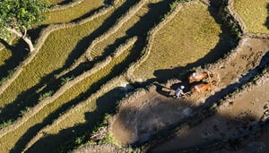 Dagala Trekking in Bhutan, 1000 lakes
