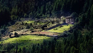 Bhutanreise mit Klosterfestivals in Thimphu und Gangtey