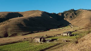 Trekking zum Jomolhari, heiliger Berg in Bhutan