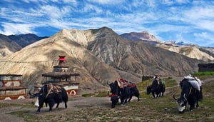 Dagala Trekking in Bhutan, 1000 lakes