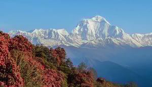 Lodgetrekking in Nepal zur Annapurna