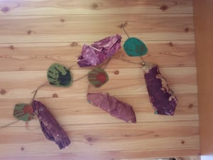 ぴーちゃん農園（?!）のサツマイモ