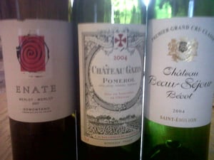 les meilleurs associations culinaires avec les meilleurs merlots