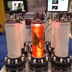 Photo by Lloyd Alter