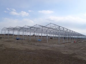 建設中の水耕栽培ハウス