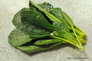 LifeTeria blog ブログ