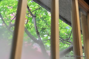 LifeTeria blog ブログ　井泉