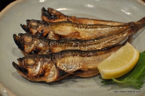 LifeTeria　blog　割烹牧野