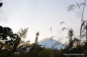 LifeTeria blog ブログ