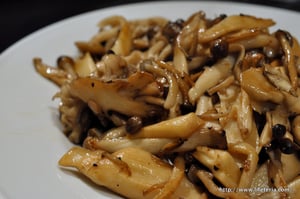 LifeTeria blog ブログ