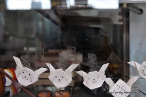 LifeTeria blog ブログ　築地市場