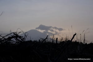 LifeTeria blog ブログ