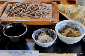 LifeTeria blog 坪乃庵