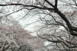 LifeTeria blog ブログ