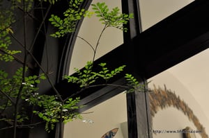 LifeTeria blog ブログ　丸の内仲通り