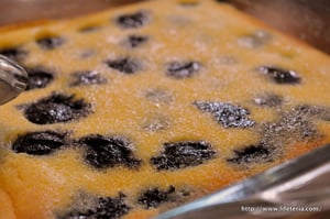 LifeTeria blog ブログ