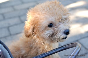 LifeTeria blog ブログ