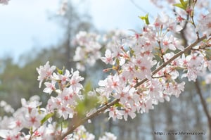 LifeTeria blog ブログ