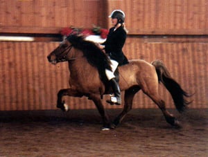 Vater: Kolskeggur fra Keldudal