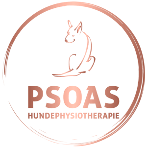Psoas Hundephysiotherapie