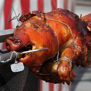 FÜR BILDERGALERIE KLICK AUF FOTO