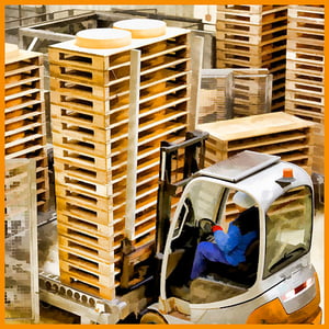 Emmi Fromco Moudon/VD: Besuch im grössten Gruyere-Käsekeller der Welt