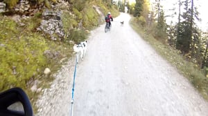 Anstieg in Richtung Igelsee/Seeben Alm