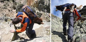 Tragegeschirr Julius K 9 im Einsatz