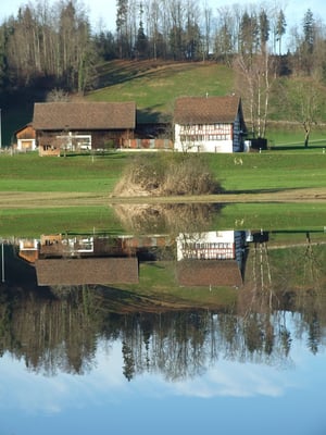 Bilder: © buebikernews.com, Thomas Illi