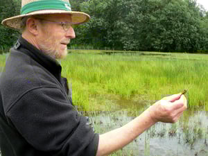 Man sieht einen Mann mit Hut und Brille, welcher vor einer Feuchtfläche steht und in der Hand eine Pflanze betrachtet.