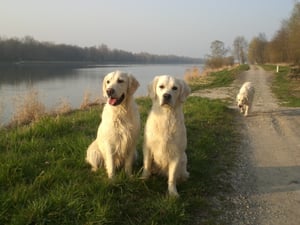 Charlotte und Emma am Rhein